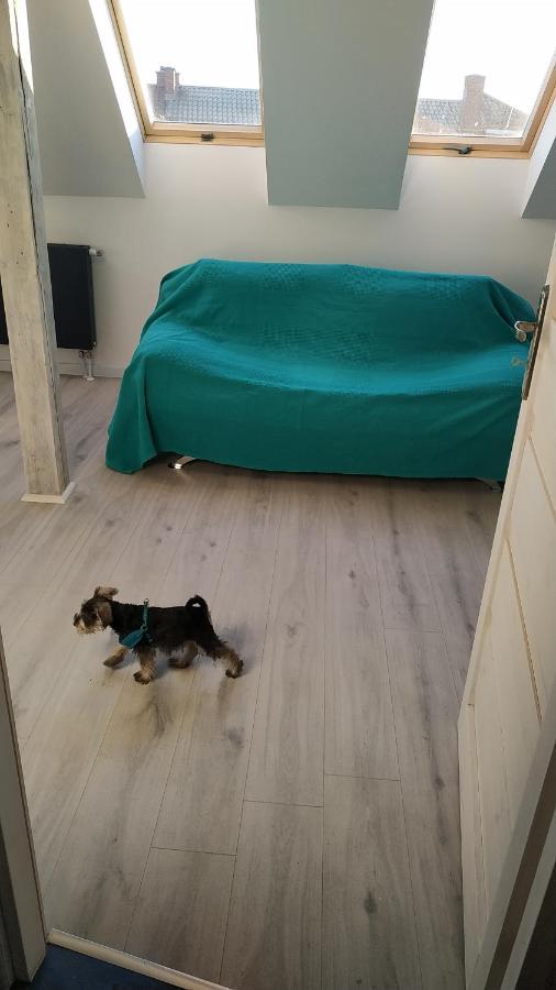 Apartament Witkacego Zielony Słupsk Eksteriør billede