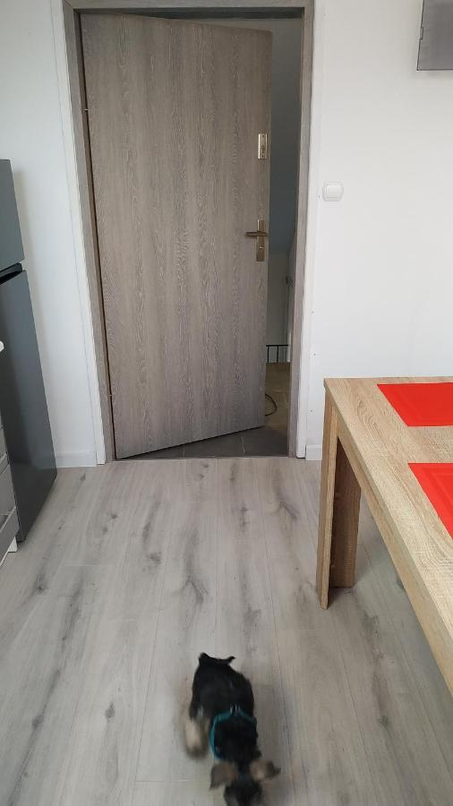 Apartament Witkacego Zielony Słupsk Eksteriør billede