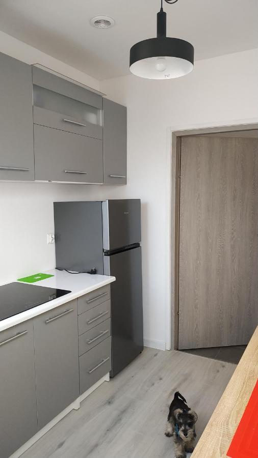 Apartament Witkacego Zielony Słupsk Eksteriør billede